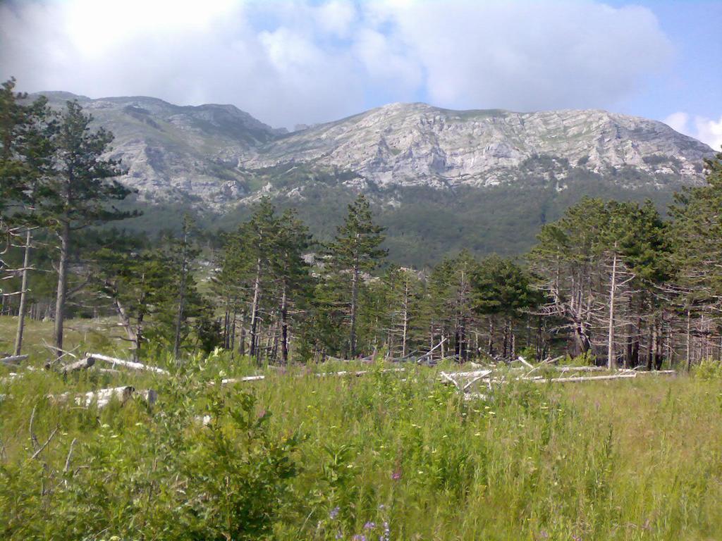 Apartments Lana Starigrad Paklenica Exterior photo